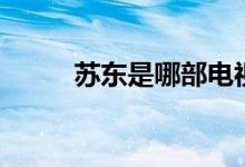 蘇東是哪部電視劇（你有看過嗎）