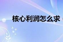 核心利潤怎么求（核心利潤怎么計算）