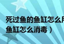 死過魚的魚缸怎么用二氧化氯消毒（死過魚的魚缸怎么消毒）