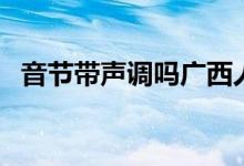 音節(jié)帶聲調嗎廣西人教版（音節(jié)帶聲調嗎）