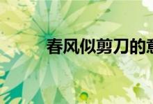 春風似剪刀的意思（春風似剪刀）