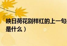 映日荷花別樣紅的上一句是什么（映日荷花別樣紅的上一句是什么）
