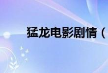 猛龍電影劇情（猛龍電影劇情簡介）