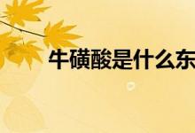 ?；撬崾鞘裁礀|西（牛磺酸的解釋）