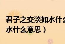 君子之交淡如水什么意思英語(yǔ)（君子之交淡如水什么意思）