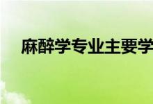 麻醉學(xué)專(zhuān)業(yè)主要學(xué)什么（就業(yè)前景如何）