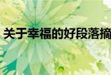 關于幸福的好段落摘抄(優(yōu)美作文素材積累)