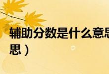 輔助分數(shù)是什么意思（高考錄取輔助分什么意思）