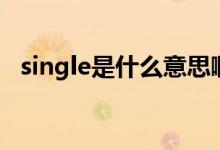 single是什么意思?。╯ingle的中文翻譯）