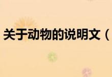 關(guān)于動(dòng)物的說(shuō)明文（關(guān)于動(dòng)物的說(shuō)明文范文）