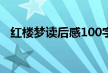 紅樓夢讀后感100字（紅樓夢讀后感示例）