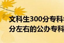 文科生300分?？茖W(xué)校（2022高考文科300分左右的公辦?？拼髮W(xué)）