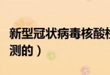 新型冠狀病毒核酸檢測多久出結(jié)果（是怎么檢測的）