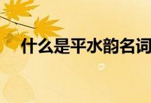 什么是平水韻名詞解釋（什么是平水韻）