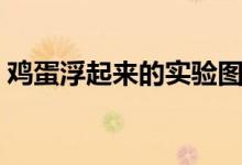 雞蛋浮起來(lái)的實(shí)驗(yàn)圖片（雞蛋浮起來(lái)的實(shí)驗(yàn)）