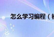 怎么學習編程（初學者怎樣學習編程）