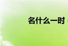 名什么一時（名什么什么實）