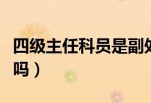 四級主任科員是副處嗎（四級主任科員是副科嗎）
