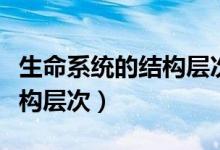 生命系統(tǒng)的結構層次怎么理解(生命系統(tǒng)的結構層次)