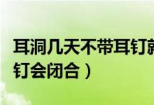 耳洞幾天不帶耳釘就長(zhǎng)住了（耳洞幾天不帶耳釘會(huì)閉合）