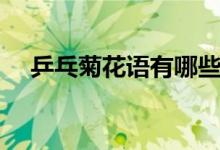 乒乓菊花語有哪些（乒乓菊花語是什么）