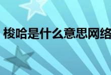 梭哈是什么意思網(wǎng)絡(luò)用語(yǔ)（梭哈是什么意思）