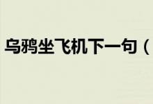 烏鴉坐飛機下一句（烏鴉坐飛機下一句是啥）