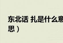 東北話 扎是什么意思（東北話扎扎是什么意思）