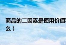 商品的二因素是使用價(jià)值和交換價(jià)值（商品的二因素是指什么）