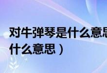 對(duì)牛彈琴是什么意思猜一個(gè)生肖（對(duì)牛彈琴是什么意思）
