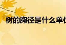 樹的胸徑是什么單位（樹的胸徑是指什么）