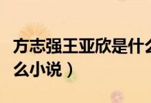 方志強王亞欣是什么小說（方志強王亞欣是什么小說）