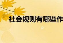 社會(huì)規(guī)則有哪些作用（社會(huì)規(guī)則有哪些）