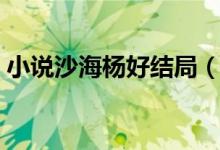 小說沙海楊好結(jié)局（沙海楊好哪一章出現(xiàn)的）
