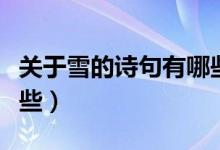 關于雪的詩句有哪些全部（關于雪的詩句有哪些）