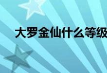大羅金仙什么等級（大羅金仙什么等級）