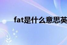 fat是什么意思英語（fat是什么意思）
