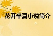 花開(kāi)半夏小說(shuō)簡(jiǎn)介（花開(kāi)半夏小說(shuō)講什么）