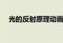 光的反射原理動(dòng)畫演示(光的反射原理)
