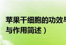 蘋果干細(xì)胞的功效與作用（蘋果干細(xì)胞的功效與作用簡述）