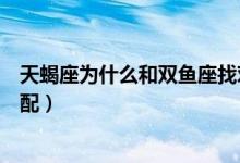 天蝎座為什么和雙魚座找對象好（天蝎座為什么和雙魚座絕配）