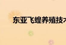 東亞飛蝗養(yǎng)殖技術(shù)（這里有詳細(xì)說明）