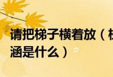 請把梯子橫著放（梯子不用時(shí)請橫著放作文內(nèi)涵是什么）