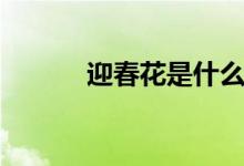 迎春花是什么（什么時候開花）