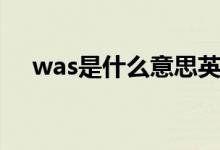 was是什么意思英語(yǔ)（was是什么意思）