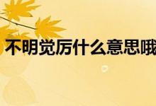 不明覺厲什么意思哦（不明覺厲出處是什么）