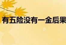 有五險(xiǎn)沒有一金后果（有五險(xiǎn)沒有一金后果）