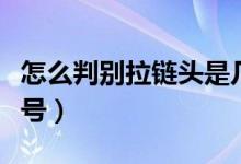 怎么判別拉鏈頭是幾號(hào)（怎樣判別拉鏈頭是幾號(hào)）