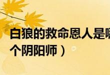 白狼的救命恩人是哪個（白狼的救命恩人是哪個陰陽師）