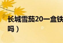 長城雪茄20一盒鐵盒（長城雪茄20一盒好抽嗎）